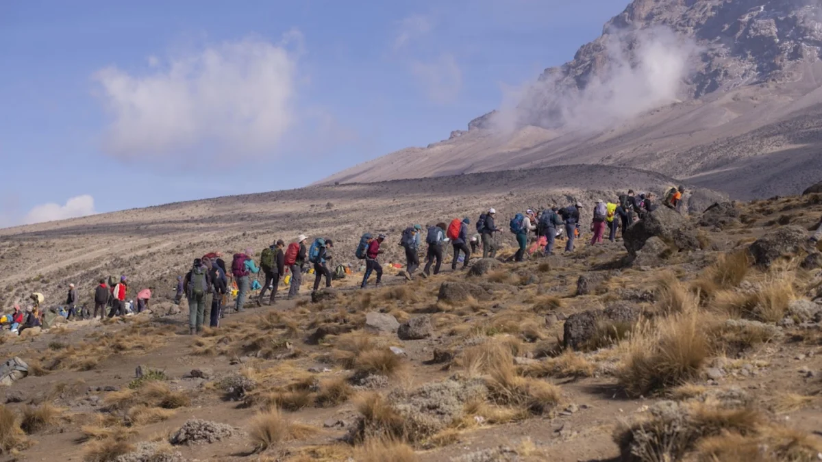 Kilimandscharo Besteigung Der Ultimative Guide für Ihr Abenteuer auf Afrikas höchstem Berg kilimandscharo besteigung